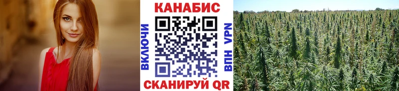 Шишки марихуана White Widow Тында